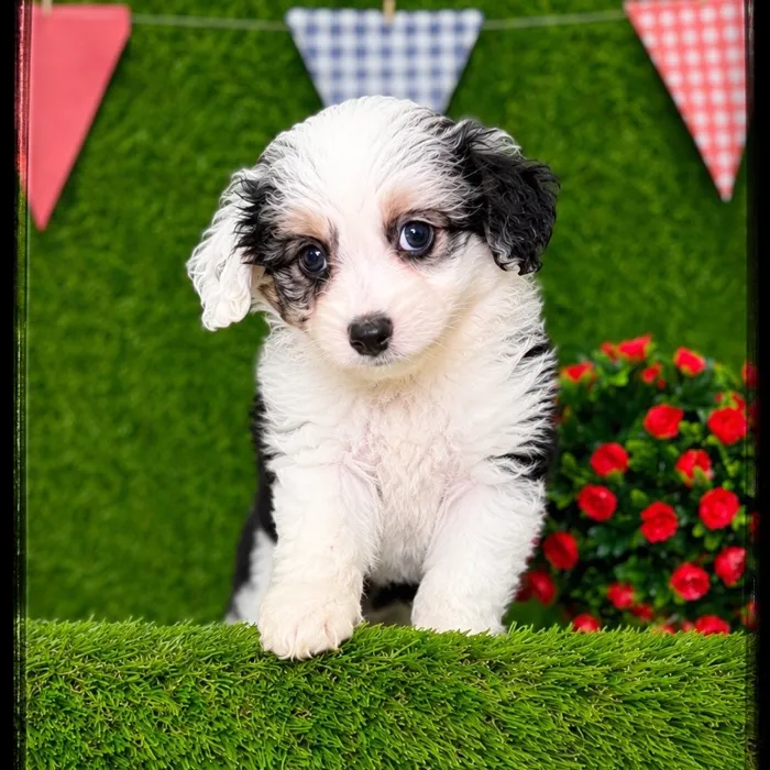 image_cropper_080C83A7-EEFE-4BD7-AD76-72C8E7D04D67-7896-00000336A648077A.jpg image