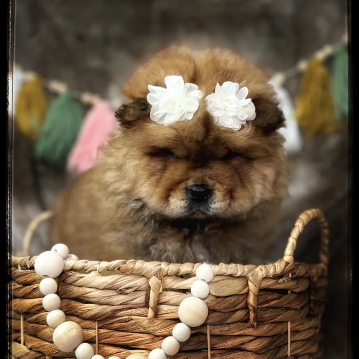 image_cropper_7BC0A99B-D22B-4B87-80B6-C60261FE01D1-41748-000011DCA4D58633.jpg image